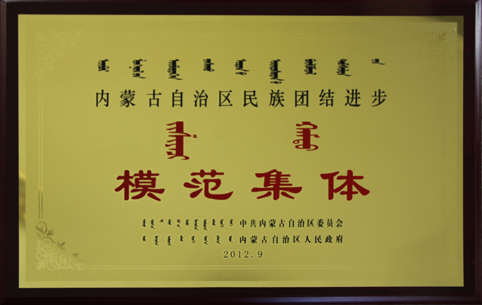 自治區(qū)民族團結(jié)進步模范集體